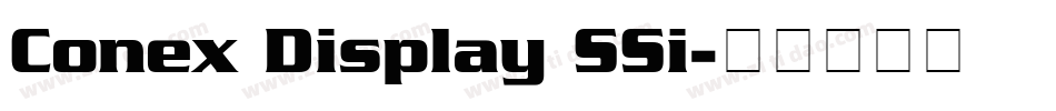 Conex Display SSi字体转换